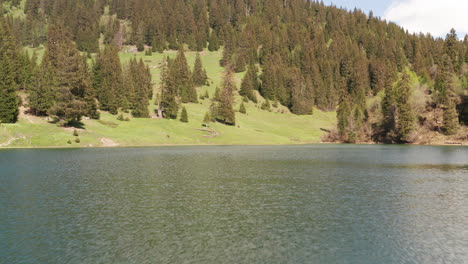 flying low over lake towards mountains slope with pine tree forest