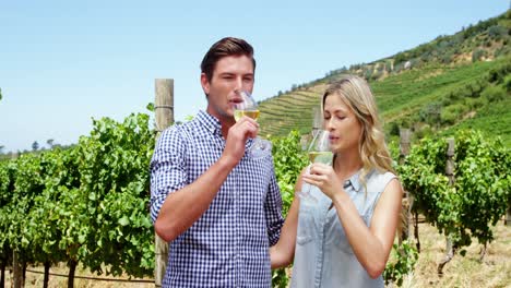 pareja romántica brindando copas de vino en el viñedo