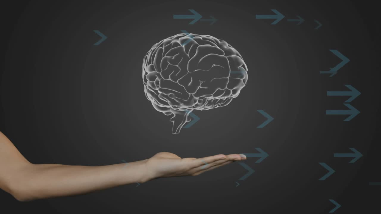 Wireframe brain materializing and rotating above palm upon forearm ...
