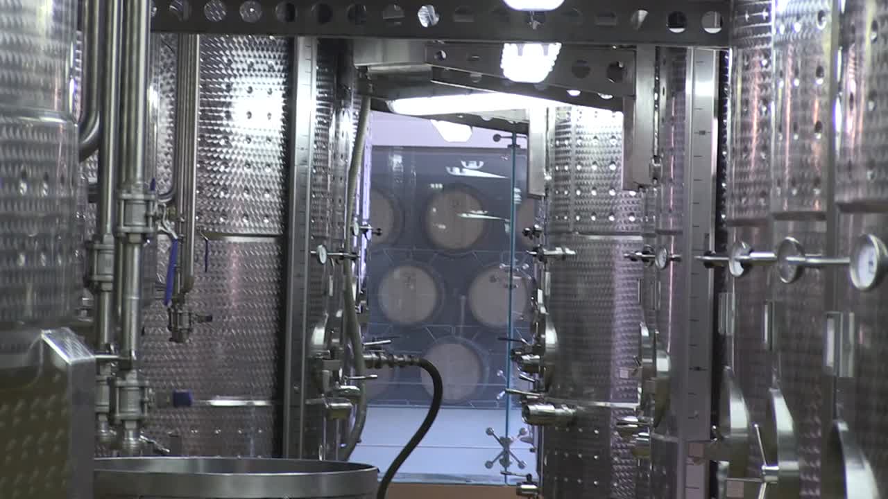 bodega de maduración de vino blanco en una granja vinícola