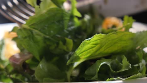 close-up of fresh green salad
