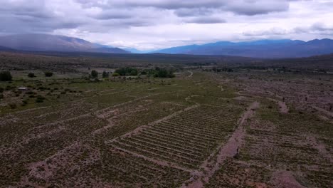 Disparo-De-Un-Dron-Volando-Hacia-Arriba-Y-Hacia-Atrás-Revelando-Las-Ruinas-De-Los-Campos-Agrícolas-De-Una-Antigua-Ciudad-En-Jujuy,-Argentina