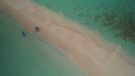 two couples stand on cayo de agua sandbank, venezuela, seen from aerial top down over isthmus and sea.
