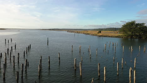 Old-Wooden-Pilings-In-Coquille-River,-Bandon-Oregon-At-Daytime---aerial-panning-left