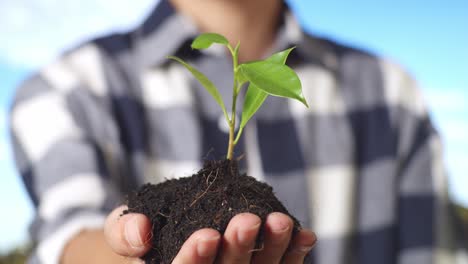 close up of a male farmer showing black dirt mud with a tree sprout in hand to the camera in the forest