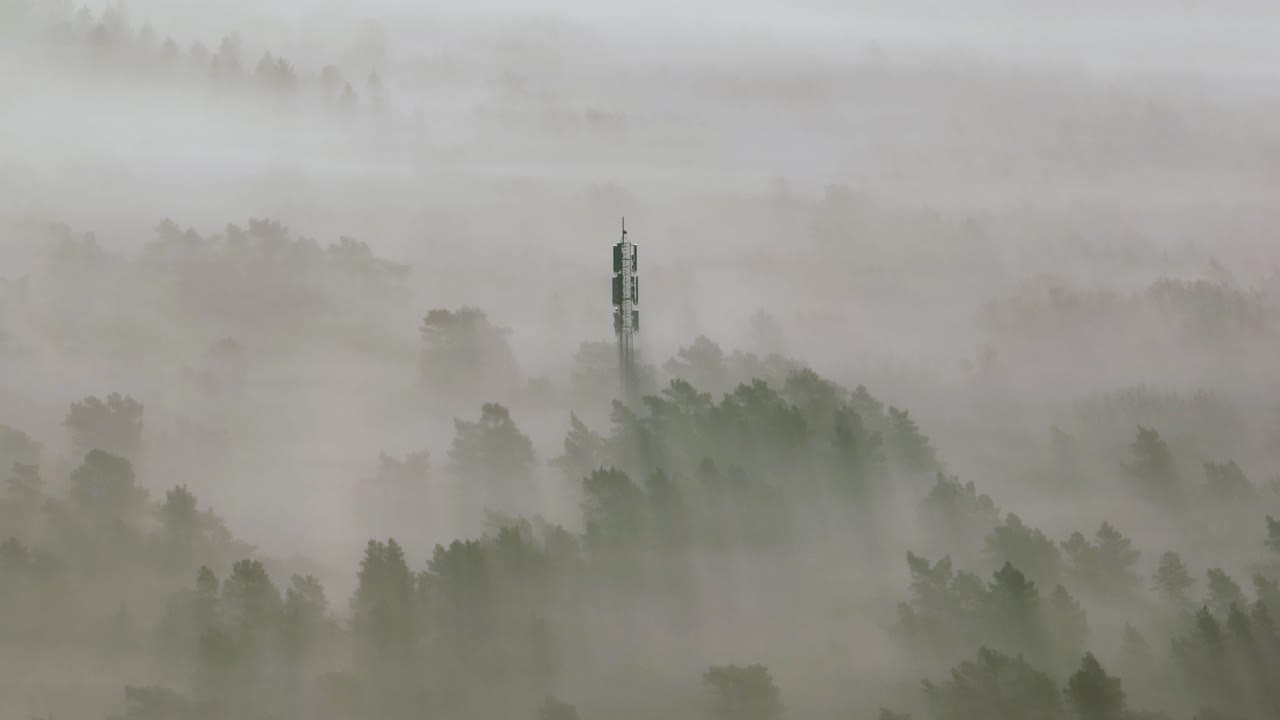 통신탑이 있는 안개 숲