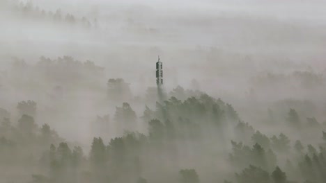 foggy forest with communication tower