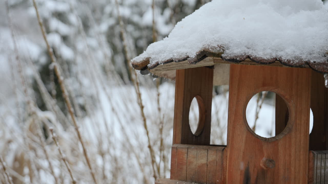 Wooden bird feeder on a tree in a winter garden with birds flying around