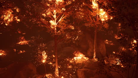 large flames of forest fire at night