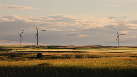 Atemberaubende-Graslandschaft,-Beleuchtet-Von-Sanftem-Sonnenlicht-Mit-Windmühlen-Am-Horizont