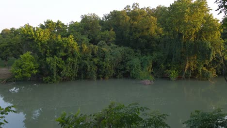 Drohne-Fliegt-Durch-Bäume-über-Den-Fluss-Guadalupe