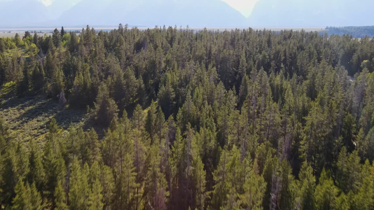 una toma de un dron de 4k que muestra el hermoso paisaje del parque nacional grand teton en wyoming