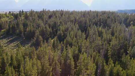 una toma de un dron de 4k que muestra el hermoso paisaje del parque nacional grand teton en wyoming