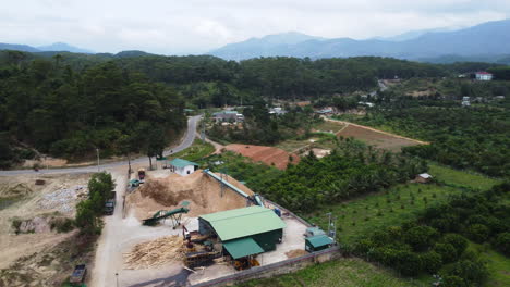 logging and timber processing place in vietnam