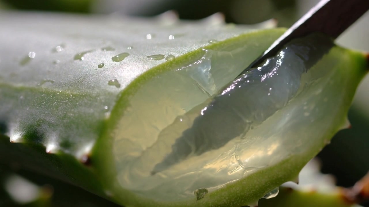 aloe vera tablets Aloe Latex With Fennel