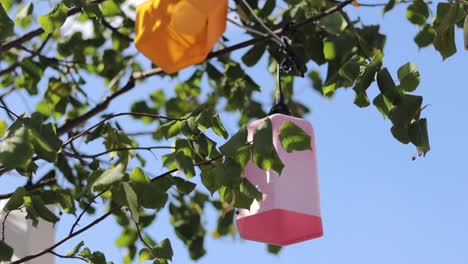 Colorful-boxes-holding-light-bulbs-hang-from-trees-during-the-daytime