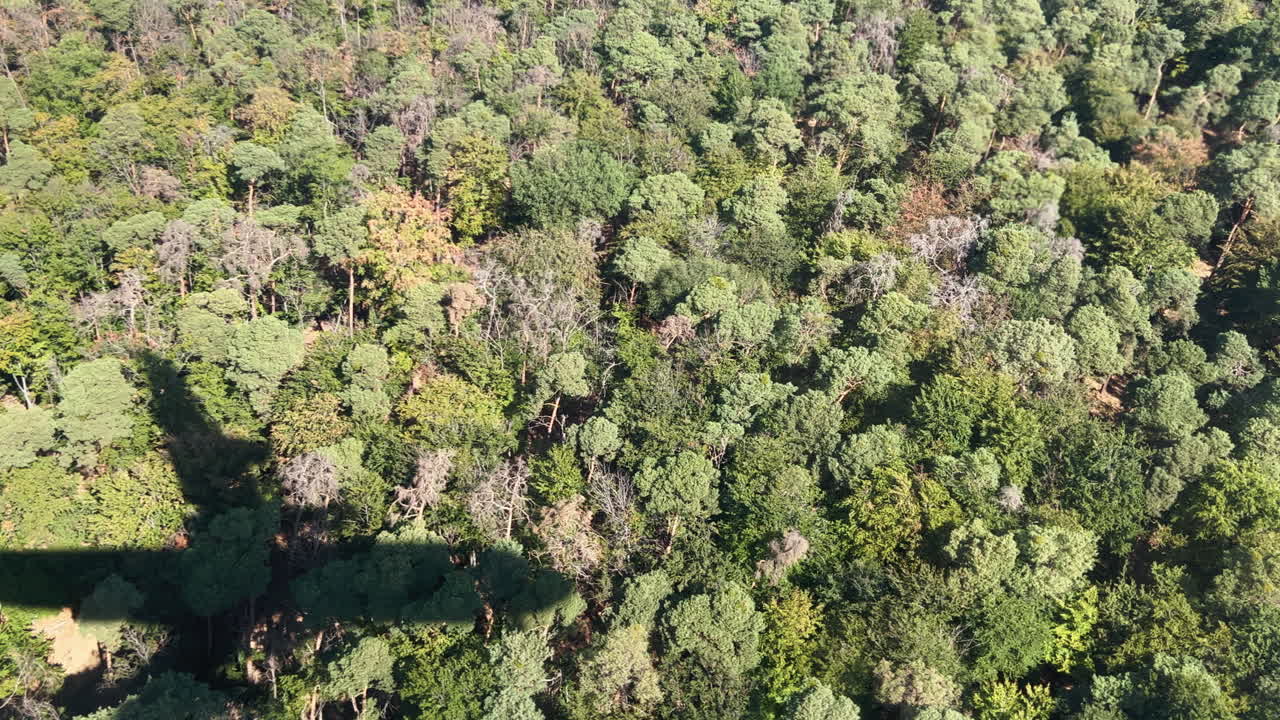vista aérea de la sombra de un avión sobre campos y bosques secos