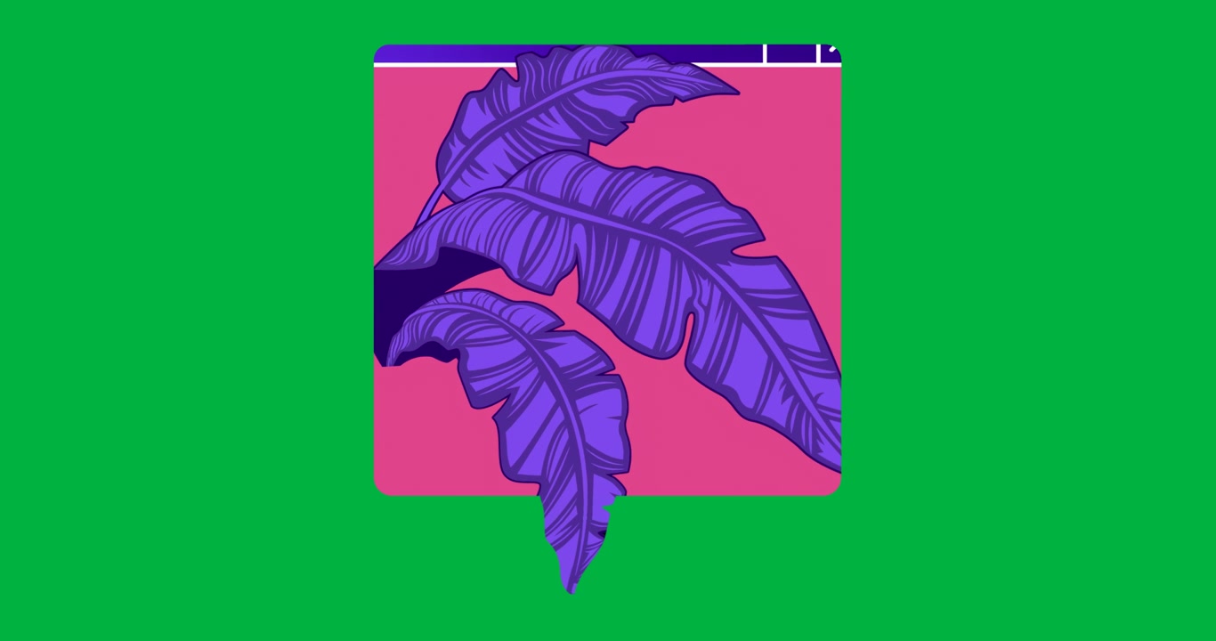 Stylized window displaying magenta backdrop with extending violet leaves on transparent background