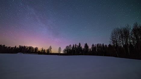 Epic-winter-landscape-with-trees-and-flying-glowing-stars-at-night-sky---time-lapse-shot