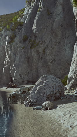 a beautiful beach with a cliff in the background