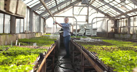 agricultora regando plantas en agricultura de invernadero