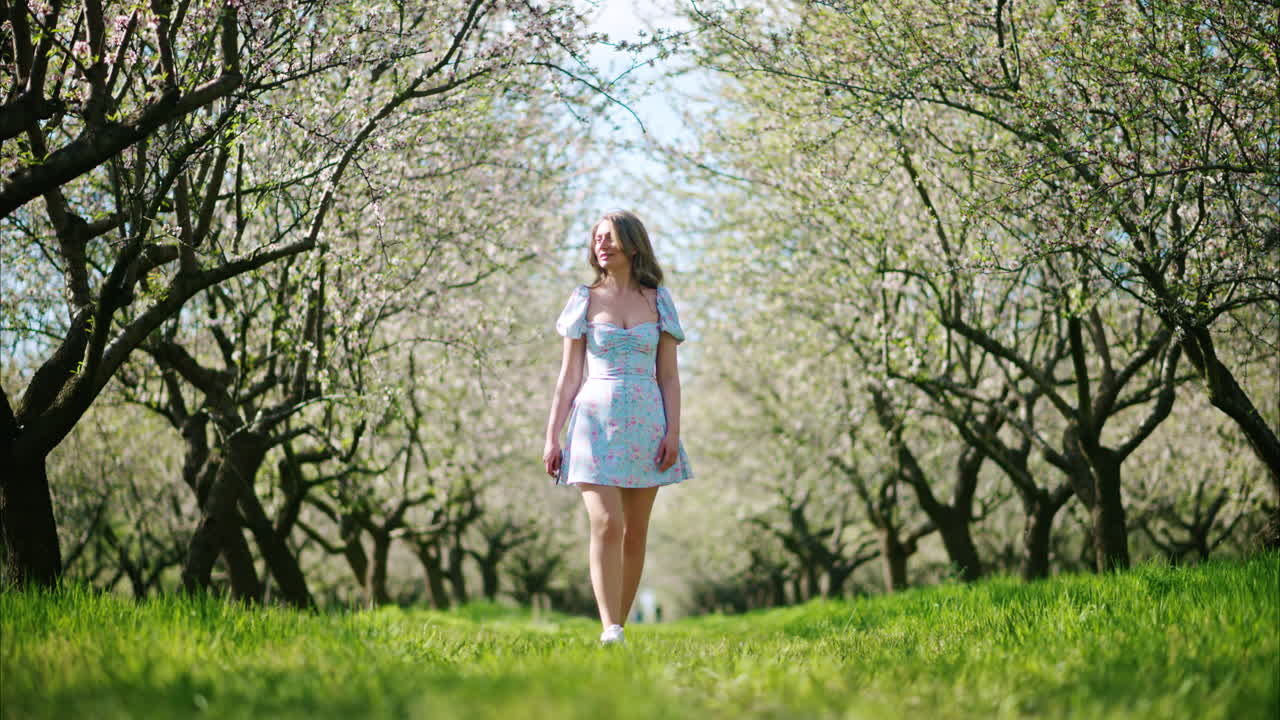 Brunette woman in a blue dress walking through a field of blooming almond trees