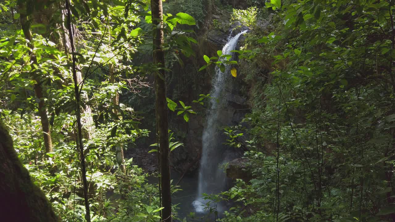 en lo profundo de la selva tropical, una cascada aislada fluye desde el río marianne en la isla caribeña de trinidad