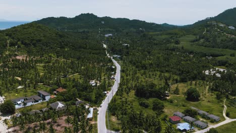 aerial view on tropical landscape