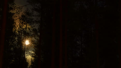 lapso de tiempo de la luna llena que se eleva linealmente detrás de un bosque de coníferas