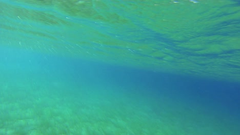 greenish underwater texture loop