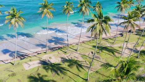 scenic shot on a beautiful beach in the dominican republic, the beautiful sun the remains of the coconut trees, turquoise blue water waves that come and go