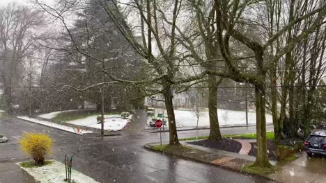 heavy winter snow falls in a traditional american neighborhood in portland oregon 1