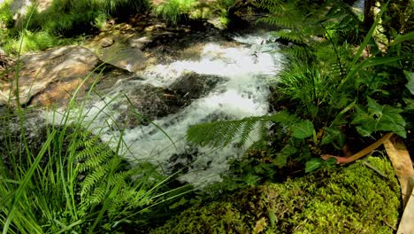 4k waterfall in portugal, river stream in nature