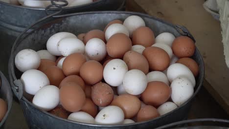 fresh eggs sit in a basket before being cleaned and processed for sale