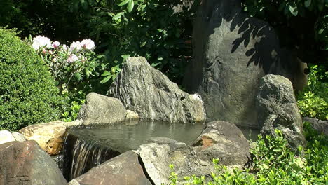 rocas decorativas y plantas a la cabeza de una pequeña cascada en un jardín japonés