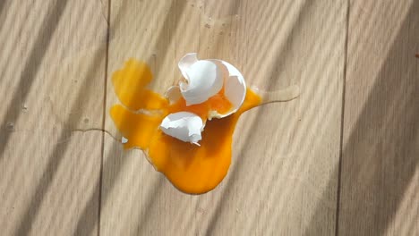 huevo roto en el suelo de madera