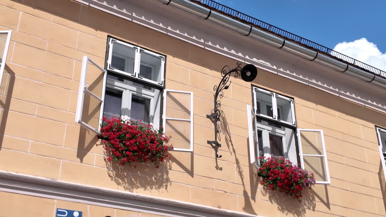 Close-up view of elegant white window frames decorated with hanging flower pots in Sibiu’s historic city center