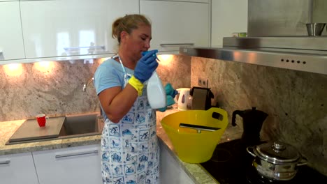 housewife with cleaning equipment