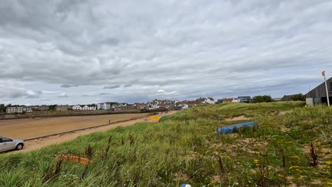 grass waving near beach with cloudy sky