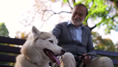 el dueño de la mascota con su perro