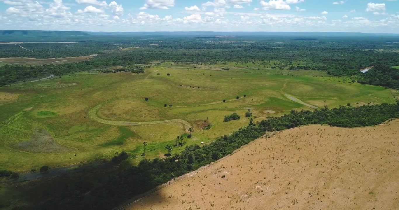 Pascolo umido stagionale e prateria alluvionale con aree di pascolo per il bestiame e vegetazione del cerrado vicino ad Arinos, Minas Gerais, Brasile, all'interno dell'ecosistema dell'altopiano di Urucuia. Ripresa aerea con drone che esegue una panoramica a sinistra.