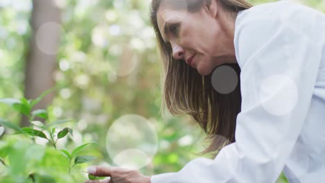 Manchas-De-Luz-Contra-Una-Científica-Senior-Caucásica-Examinando-Las-Plantas-En-El-Jardín.