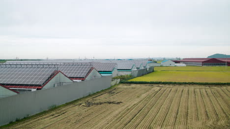 farmstead buildings with solar panels mounted on roofs of many buildings in farmland korean country