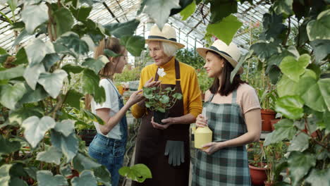 grandmother and granddaughters in a greenhouse