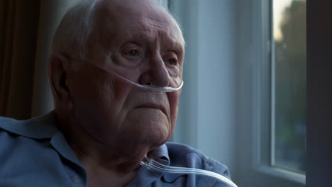 elderly man with oxygen cannula looking out window