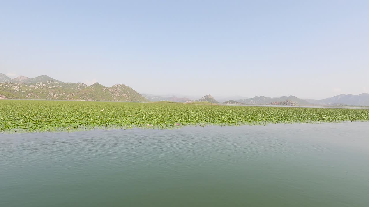 몬테네그로의 스카다르 호수 보트 크루즈