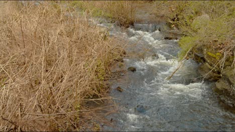 Arroyo-Agua-Corriente-Sobre-Rocas