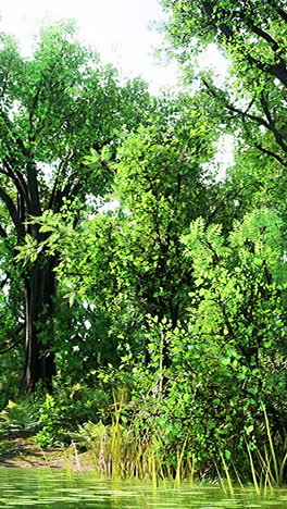 paisaje sereno de bosques y lagos
