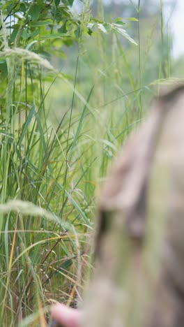 soldier in the field