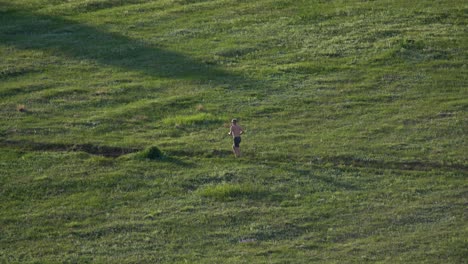 Mann-Trail-Running-In-Einem-Grünen-Feld